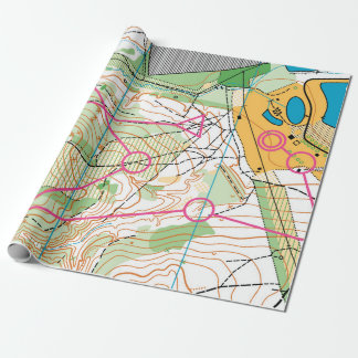 Versandpapier - Orientierungskarte Geschenkpapier