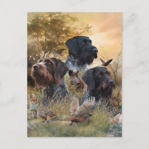 Versatile Jagdhunde Postkarte