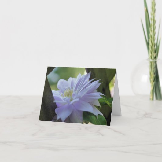 Verschachtelte Clematis-Blumenfotografie  (Vorderseite)