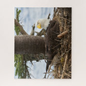 Verschachtelungs-Weißkopfseeadler Puzzle (Vertikal)