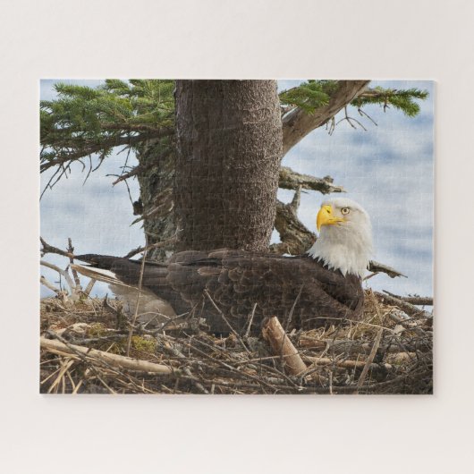 Verschachtelungs-Weißkopfseeadler Puzzle (Horizontal)
