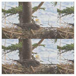 Verschachtelungs-Weißkopfseeadler Stoff