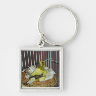 Verschachtelungskanarienvogel Schlüsselanhänger