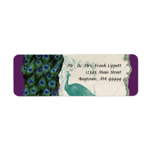 Verschickende Aufkleber - Vintager Pfau u. Federn