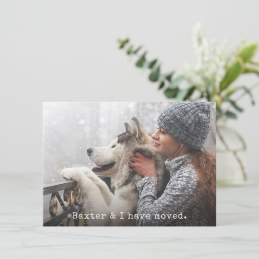 Verschieben der Ankündigung mit Ihrem Haustier hin (Stehend Vorderseite)