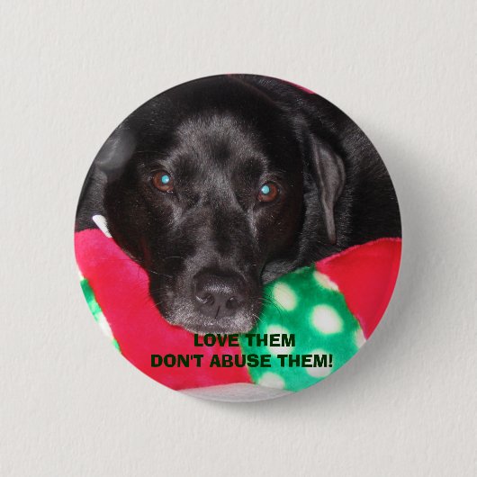 Verschiedene 08-12-06 003, LIEBE SIE MISSBRAUCHEN Button (Vorderseite)