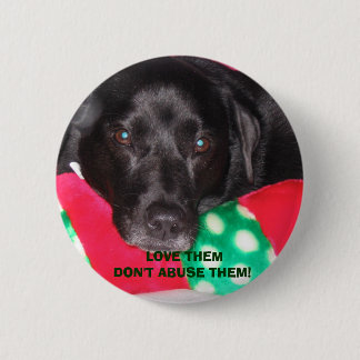 Verschiedene 08-12-06 003, LIEBE SIE MISSBRAUCHEN Button