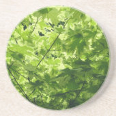 Verschiedene Ahorn-Blätter Getränkeuntersetzer (Vorne)