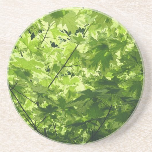 Verschiedene Ahorn-Blätter Getränkeuntersetzer (Vorne)