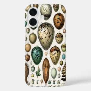Verschiedene Arten der wissenschaftlichen Darstell iPhone 16 Hülle
