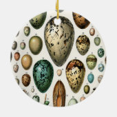 Verschiedene Arten der wissenschaftlichen Darstell Keramik Ornament (Hinten)