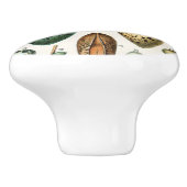 Verschiedene Arten der wissenschaftlichen Darstell Keramikknauf (Seitenansicht)