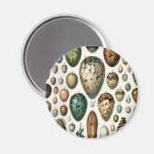 Verschiedene Arten der wissenschaftlichen Darstell Magnet (Vorderseite/Rückseite)