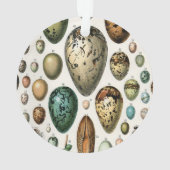 Verschiedene Arten der wissenschaftlichen Darstell Ornament (Rückseite)