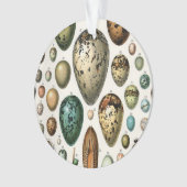 Verschiedene Arten der wissenschaftlichen Darstell Ornament (Vorderseite)