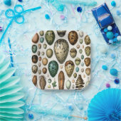 Verschiedene Arten der wissenschaftlichen Darstell Pappteller (Party)