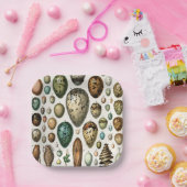 Verschiedene Arten der wissenschaftlichen Darstell Pappteller (Party)