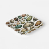 Verschiedene Arten der wissenschaftlichen Darstell Pappteller (Gewinkelt)