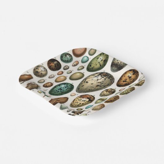 Verschiedene Arten der wissenschaftlichen Darstell Pappteller (Gewinkelt)