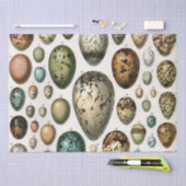 Verschiedene Arten der wissenschaftlichen Darstell Seidenpapier (Handwerk)