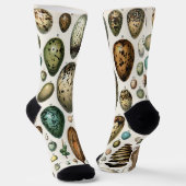 Verschiedene Arten der wissenschaftlichen Darstell Socken (Gewinkelt)