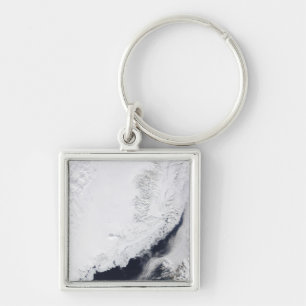 Verschiedene Arten des Treibeises Schlüsselanhänger