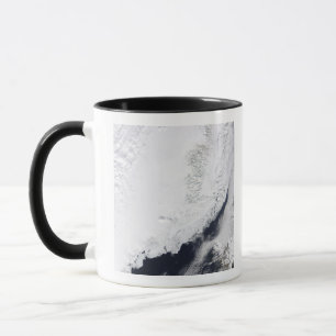 Verschiedene Arten des Treibeises Tasse