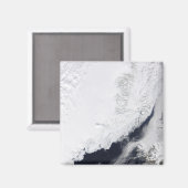 Verschiedene Arten von Meereis Magnet (Vorderseite/Rückseite)