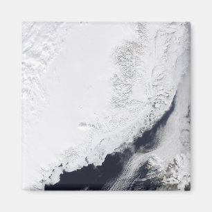 Verschiedene Arten von Meereis Magnet