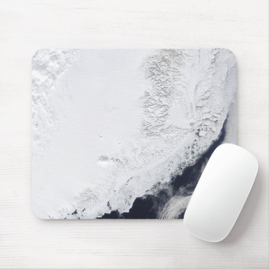 Verschiedene Arten von Meereis Mousepad (Mit Mouse)