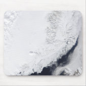 Verschiedene Arten von Meereis Mousepad (Vorne)