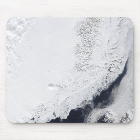 Verschiedene Arten von Meereis Mousepad (Vorne)