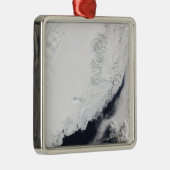 Verschiedene Arten von Meereis Ornament Aus Metall (Rechts)