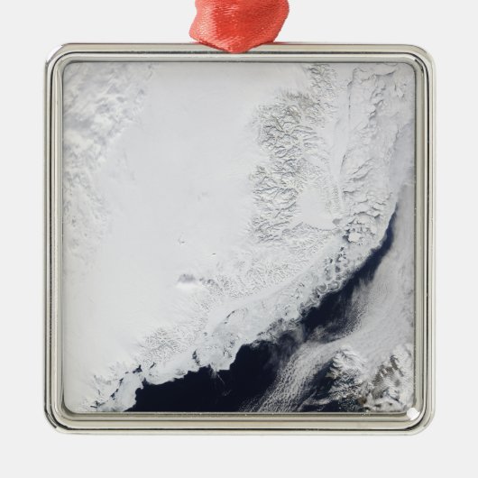 Verschiedene Arten von Meereis Ornament Aus Metall (Vorne)