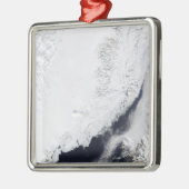 Verschiedene Arten von Meereis Ornament Aus Metall (Links)