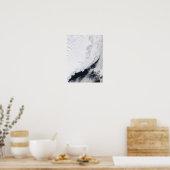 Verschiedene Arten von Meereis Poster (Küche)