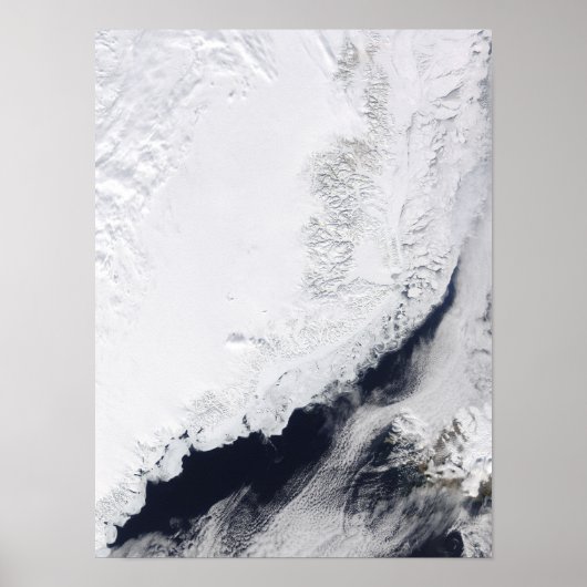 Verschiedene Arten von Meereis Poster (Vorne)