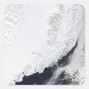 Verschiedene Arten von Meereis Quadratischer Aufkleber