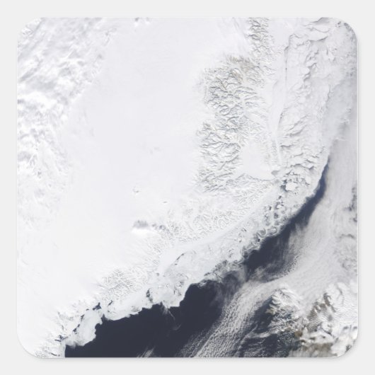 Verschiedene Arten von Meereis Quadratischer Aufkleber (Vorderseite)