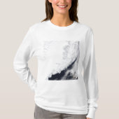 Verschiedene Arten von Meereis T-Shirt (Vorderseite)