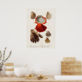 Verschiedene Arten von Weichtieren Poster (Küche)