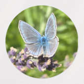 Verschiedene Aufkleber (Design 2)