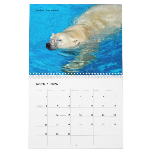 Verschiedene Bären 12 Monate Kalender (Mär 2026)