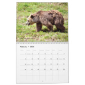 Verschiedene Bären 12 Monate Kalender (Feb 2026)