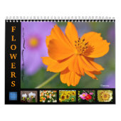 Verschiedene Blume 12 Monate Kalender (Titelbild)