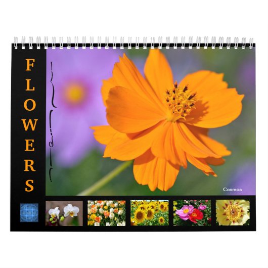 Verschiedene Blume 12 Monate Kalender (Titelbild)