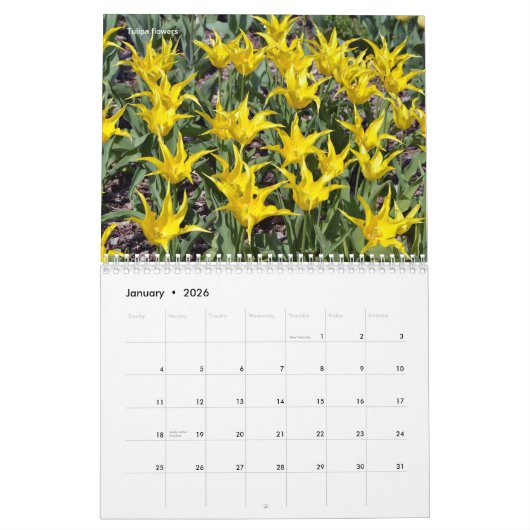 Verschiedene Blume 12 Monate Kalender (Jan 2026)