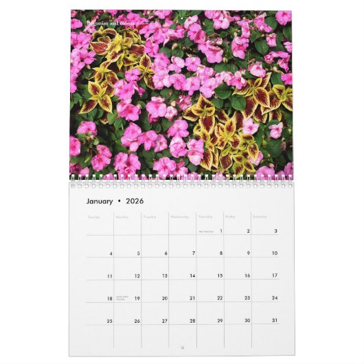 Verschiedene Blume 12 Monate Kalender (Jan 2026)