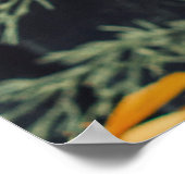 Verschiedene Blume auf schwarzem Holzboden. Ab Poster (Ecke)