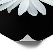 Verschiedene Blume der Asteraceae-Familie. Poster (Ecke)